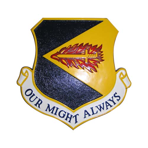 USAF 355th Fighter Air Wing Emblem