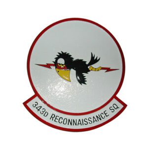 USAF 343d Recon Sq Emblem