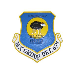 USAF MX Group Det 675 Emblem